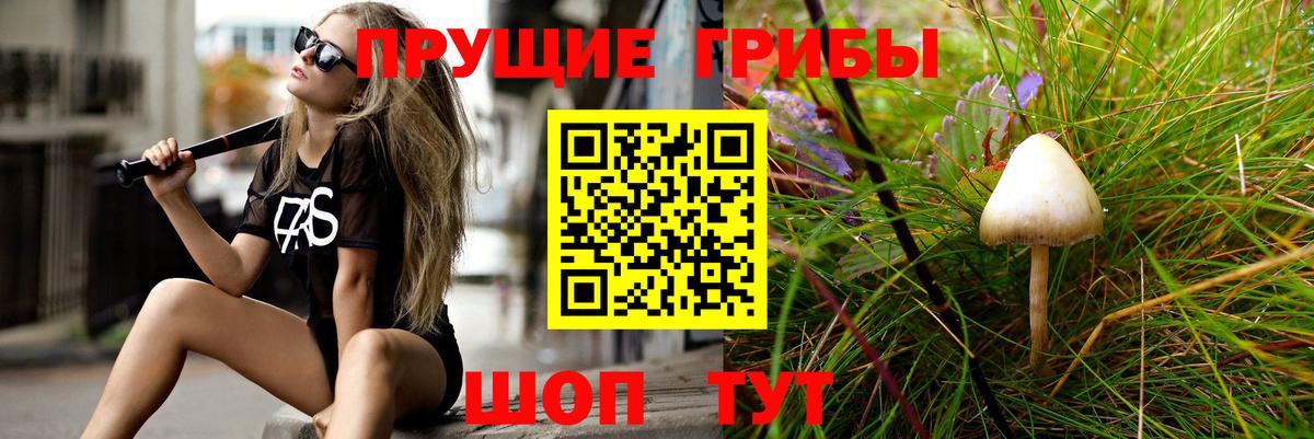 Галлюциногенные грибы Psilocybine cubensis  Галлюциногенные грибы Psilocybe  Зима  Вход с VPN 